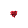 Pack de 100 Pétales de Rose